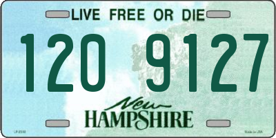 NH license plate 1209127