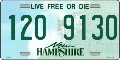 NH license plate 1209130