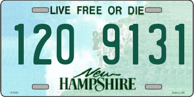 NH license plate 1209131