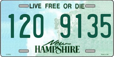 NH license plate 1209135