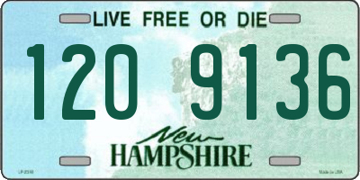 NH license plate 1209136