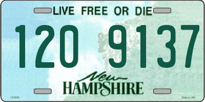 NH license plate 1209137