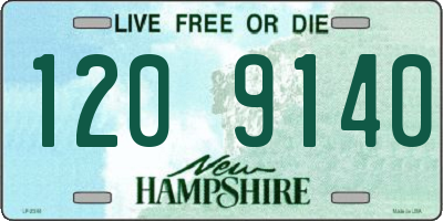 NH license plate 1209140
