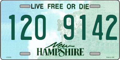 NH license plate 1209142