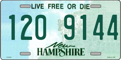 NH license plate 1209144