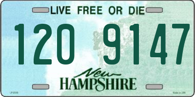 NH license plate 1209147
