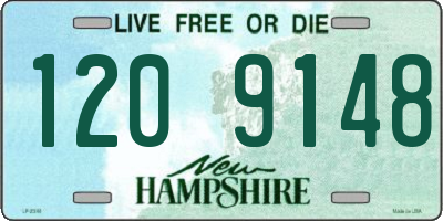 NH license plate 1209148