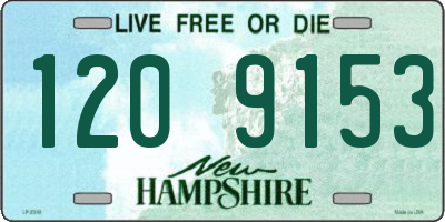 NH license plate 1209153