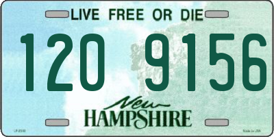 NH license plate 1209156
