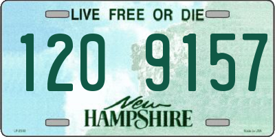 NH license plate 1209157