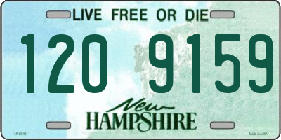 NH license plate 1209159