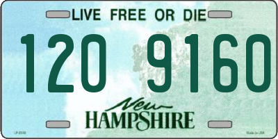 NH license plate 1209160