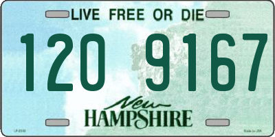 NH license plate 1209167