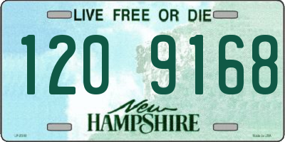 NH license plate 1209168