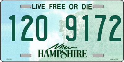 NH license plate 1209172