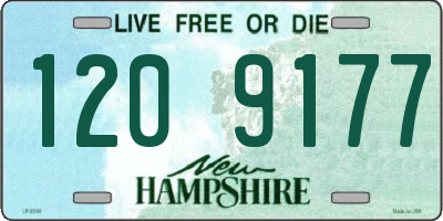 NH license plate 1209177