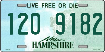 NH license plate 1209182