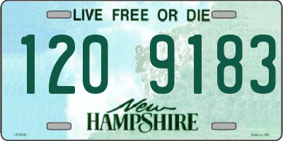 NH license plate 1209183