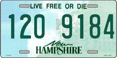 NH license plate 1209184
