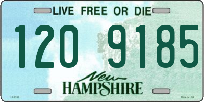 NH license plate 1209185