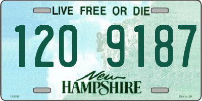 NH license plate 1209187