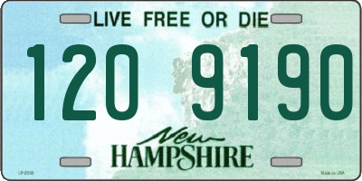 NH license plate 1209190