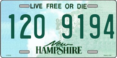 NH license plate 1209194