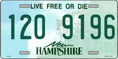 NH license plate 1209196