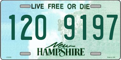 NH license plate 1209197