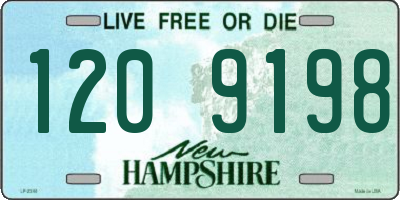 NH license plate 1209198