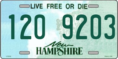 NH license plate 1209203