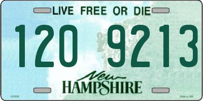 NH license plate 1209213
