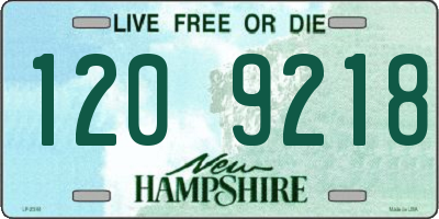 NH license plate 1209218