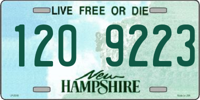 NH license plate 1209223