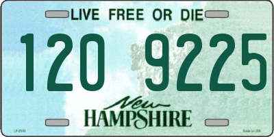NH license plate 1209225