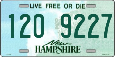 NH license plate 1209227