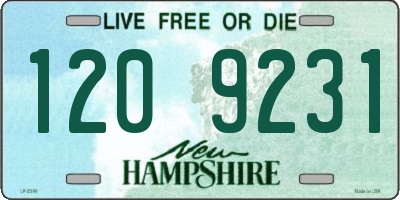 NH license plate 1209231