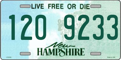 NH license plate 1209233