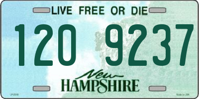 NH license plate 1209237
