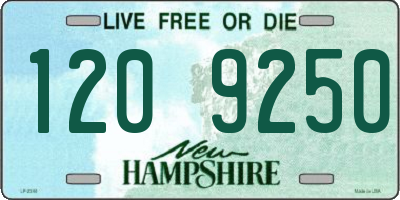 NH license plate 1209250
