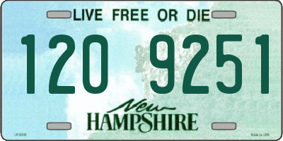 NH license plate 1209251