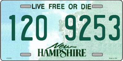 NH license plate 1209253