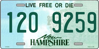 NH license plate 1209259