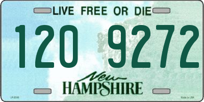NH license plate 1209272
