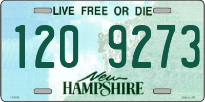 NH license plate 1209273