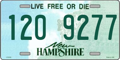 NH license plate 1209277
