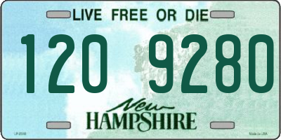 NH license plate 1209280