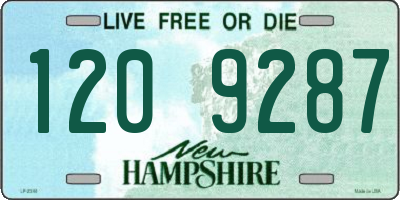 NH license plate 1209287