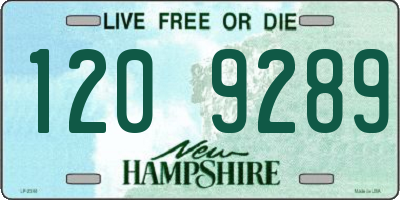 NH license plate 1209289