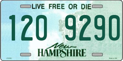 NH license plate 1209290